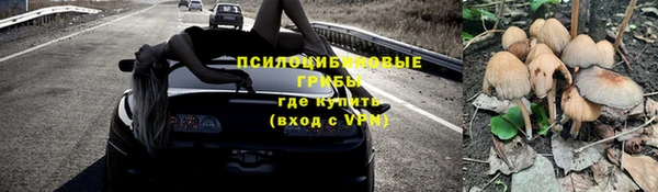 ПСИЛОЦИБИНОВЫЕ ГРИБЫ Сатка